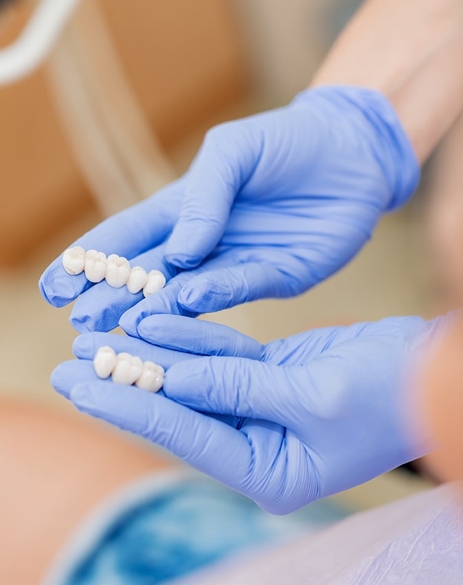 Dental appliance model on display